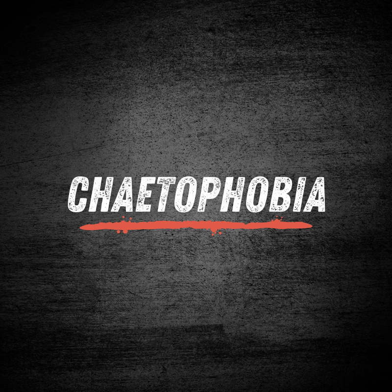 How to Diagnose Chaetophobia